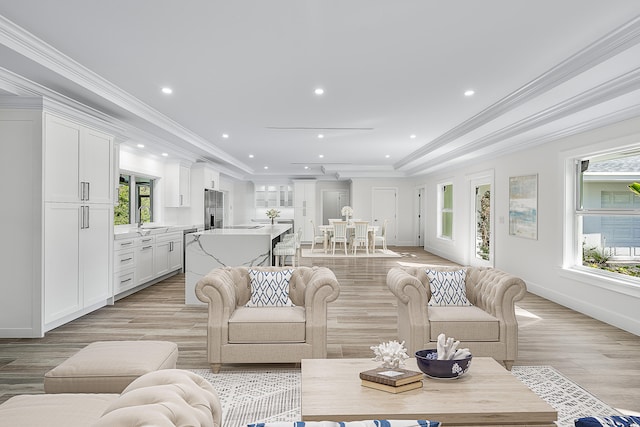 living room with sink, a tray ceiling, light hardwood / wood-style flooring, and ornamental molding