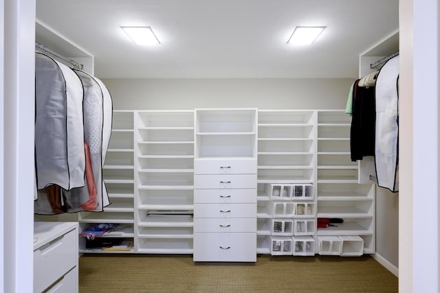 walk in closet featuring dark colored carpet