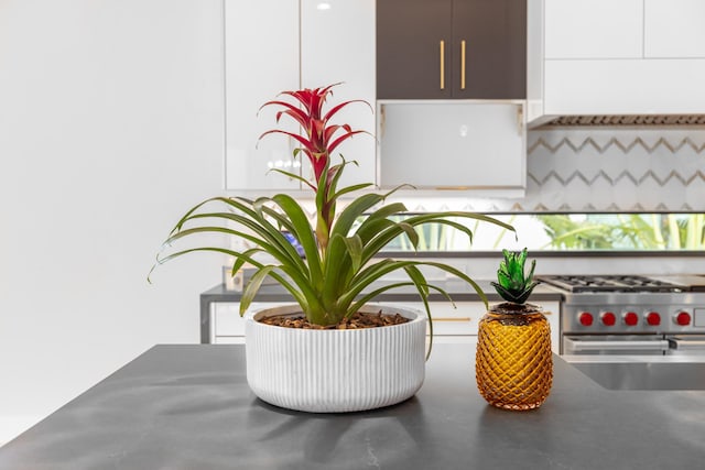 room details with decorative backsplash, stainless steel stove, and white cabinetry