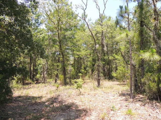 Vacant Land, Williston FL, 32696 land for sale