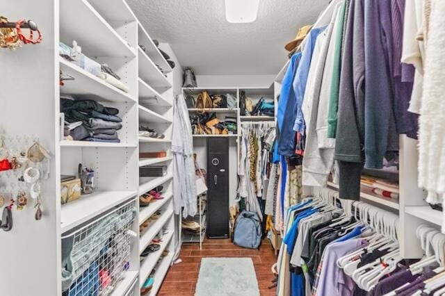 spacious closet featuring dark wood-type flooring