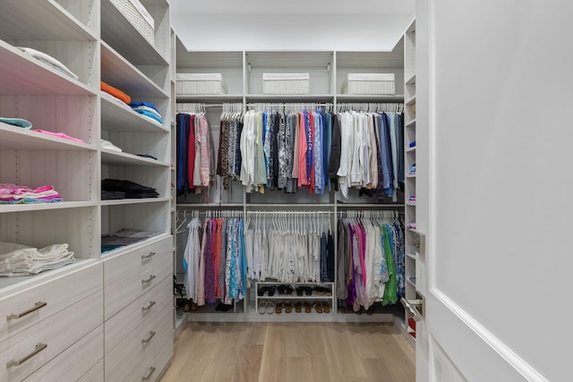 spacious closet featuring light hardwood / wood-style flooring