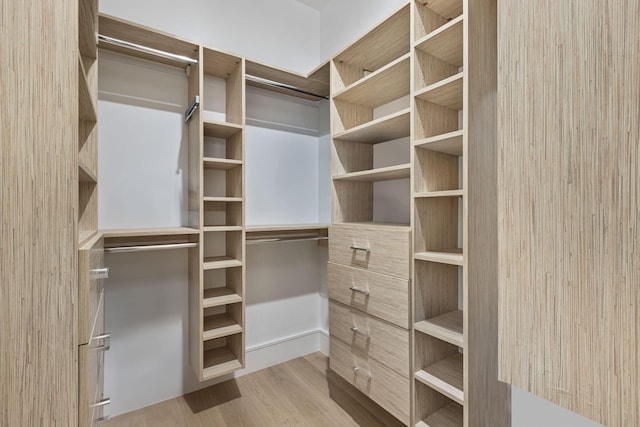 walk in closet with light wood-type flooring