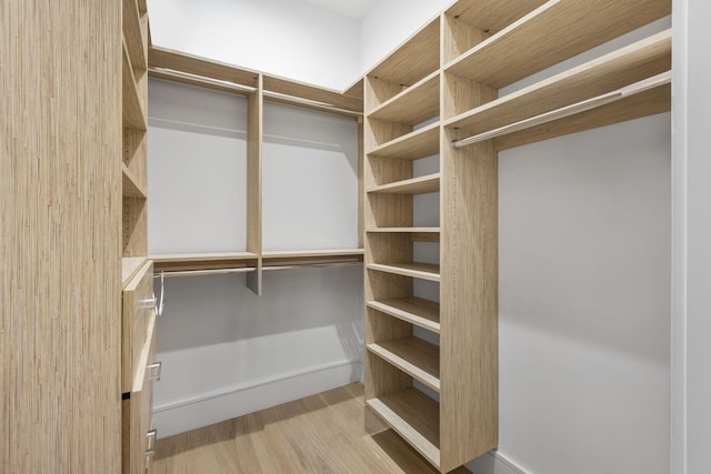 spacious closet with light wood-type flooring