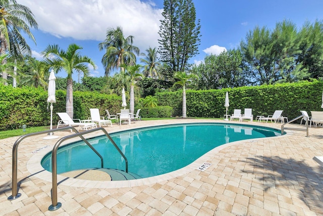 view of pool with a patio area