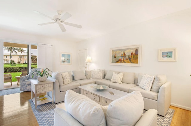 living room with ceiling fan and light wood-type flooring