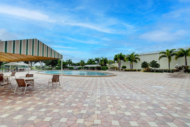 view of swimming pool with a patio area