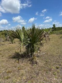 18134 NW 298th St, Okeechobee FL, 34972 land for sale