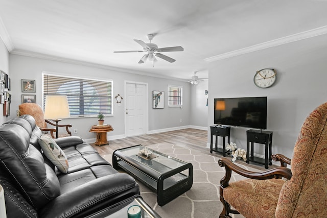 living room with ornamental molding, ceiling fan, and light wood-type flooring