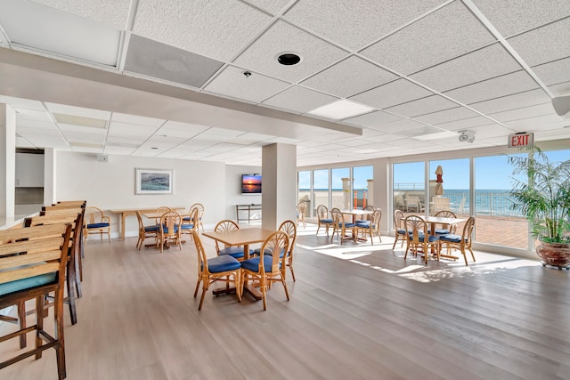 dining area featuring a drop ceiling and hardwood / wood-style flooring