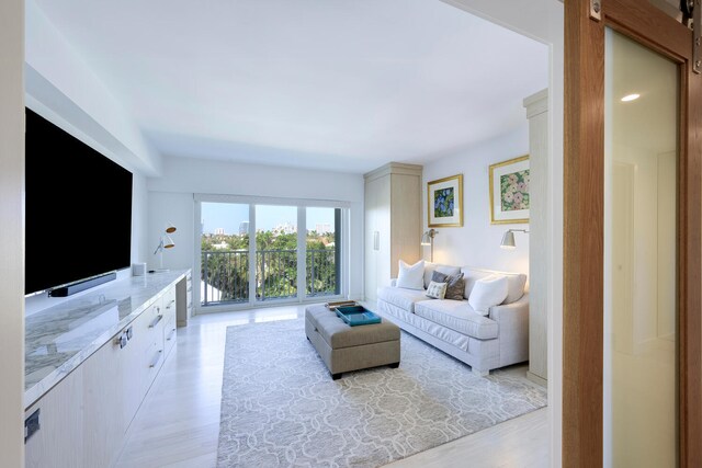 living room with light wood-type flooring