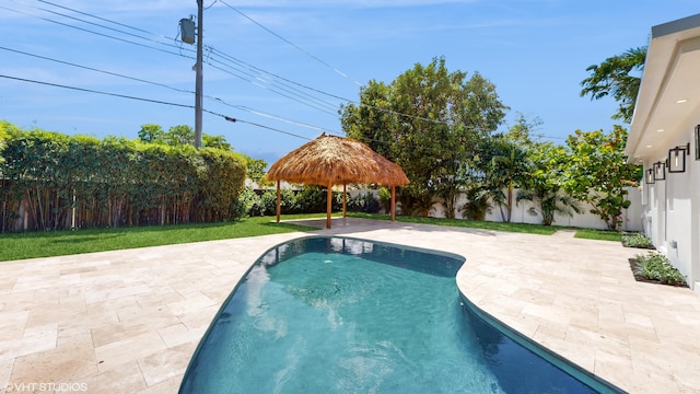 view of pool with a patio