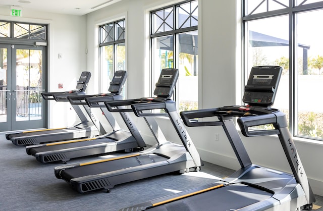 gym featuring a wealth of natural light and french doors