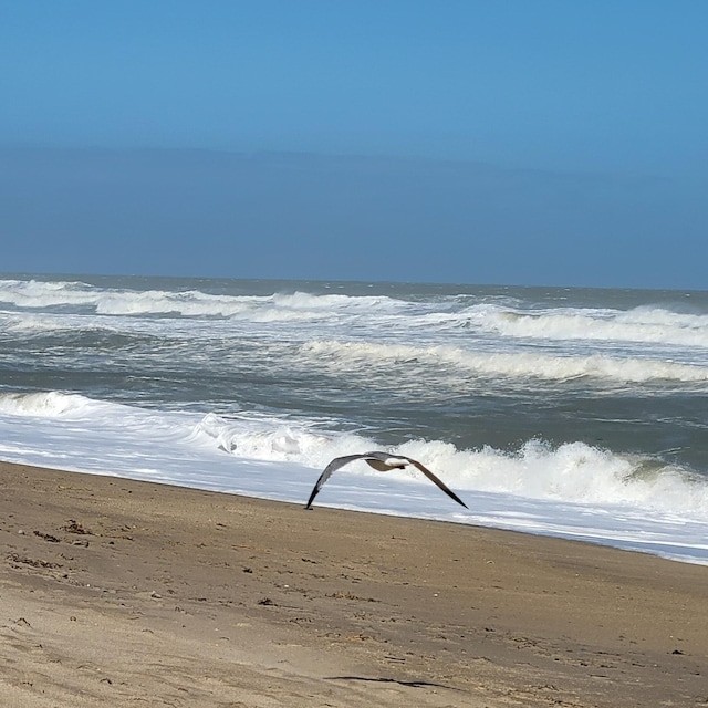 view of water feature with a view of the beach