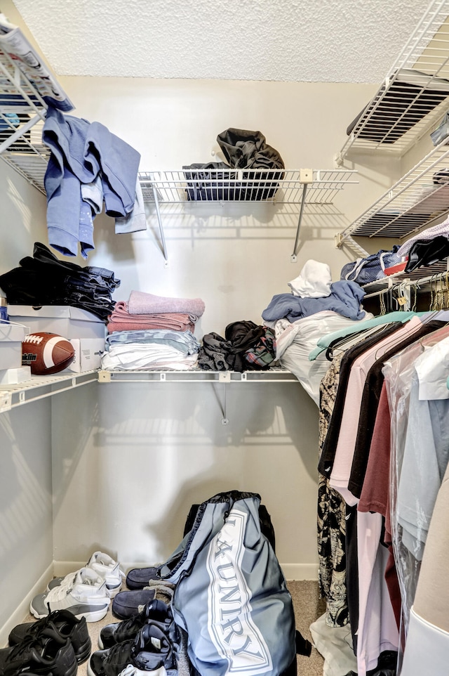 spacious closet featuring carpet