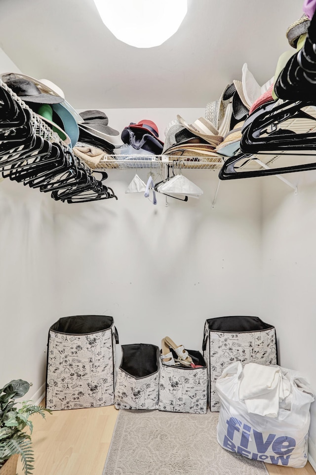 spacious closet with light wood-type flooring