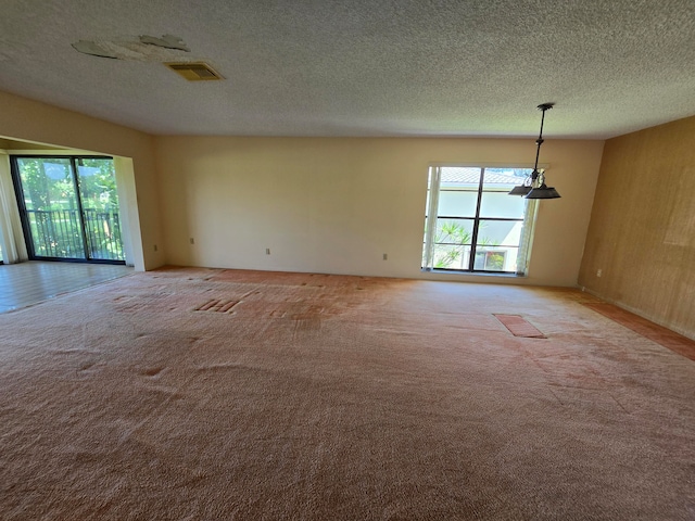 empty room featuring light carpet, a textured ceiling, and a healthy amount of sunlight