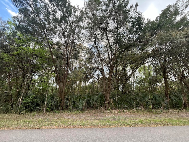 626 NE 9th St, Crystal River FL, 34428 land for sale