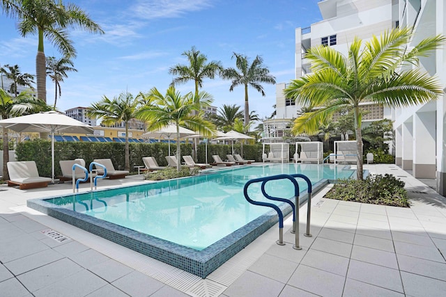 view of pool with a patio area