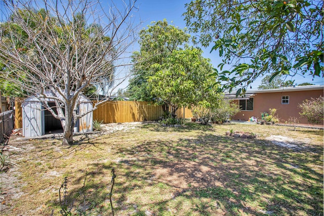 view of yard with a shed