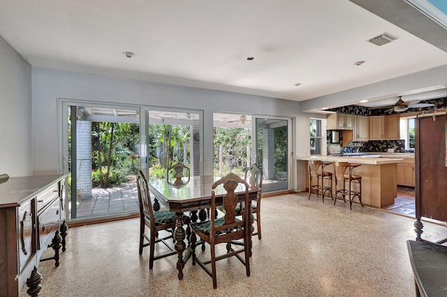 dining area with ceiling fan and a wealth of natural light