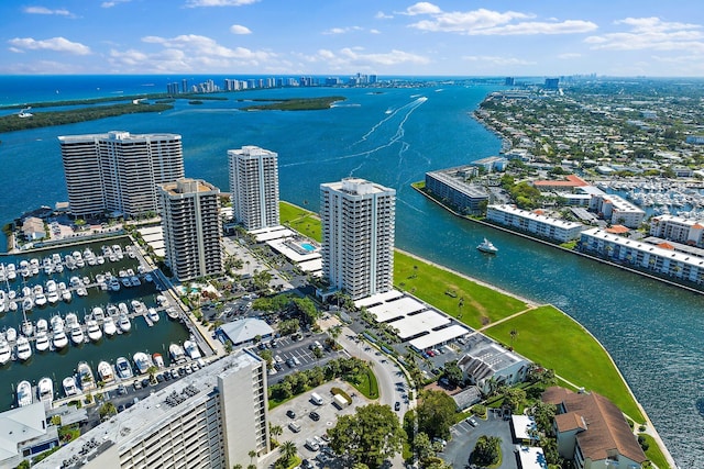 aerial view with a water view