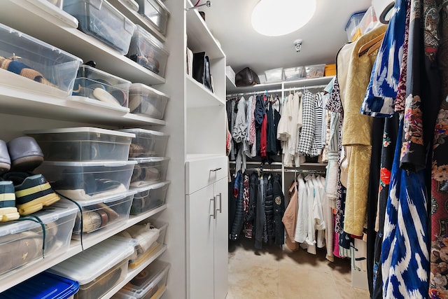 view of walk in closet