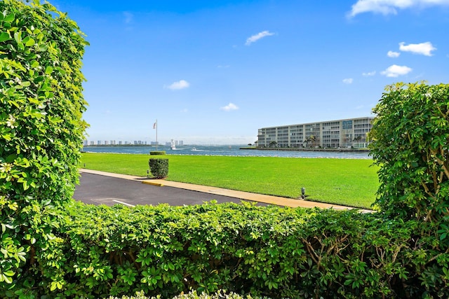 view of property's community featuring a water view and a lawn