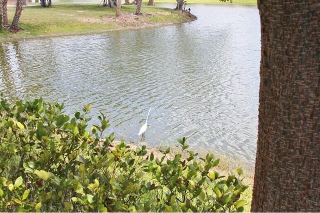 view of water feature