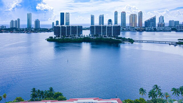 water view with a skyline view