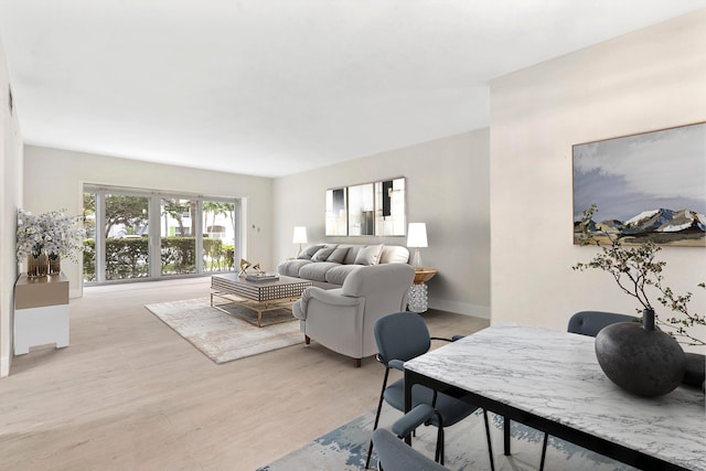 living room featuring light hardwood / wood-style floors