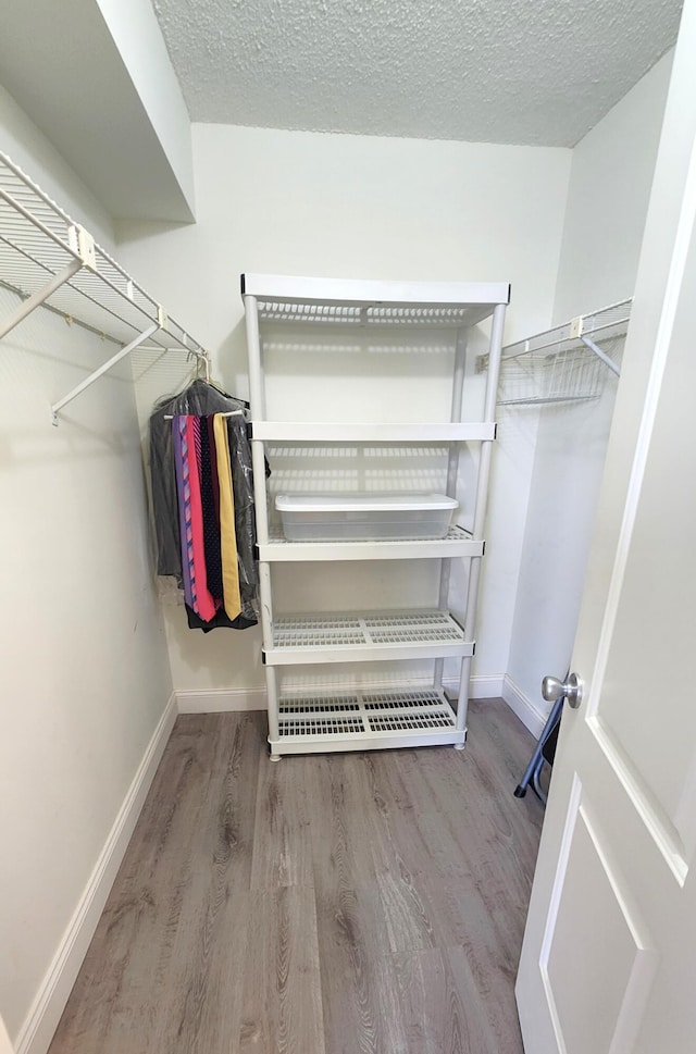 spacious closet featuring hardwood / wood-style flooring