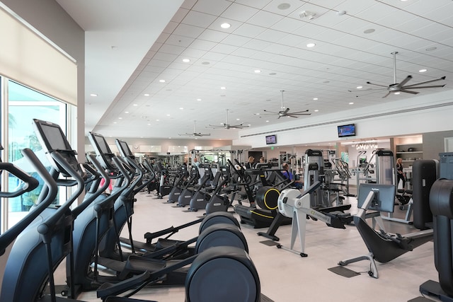 gym featuring ceiling fan and a paneled ceiling