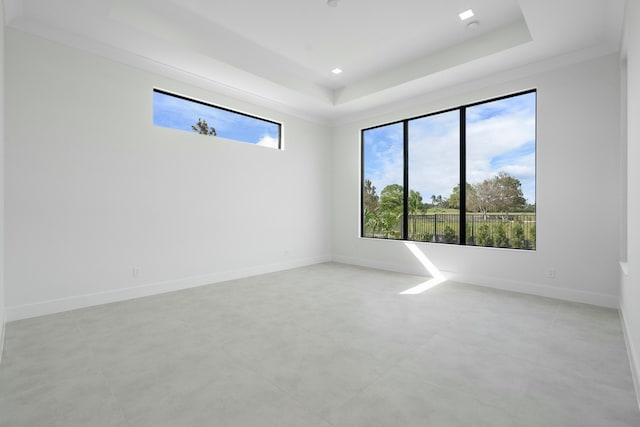 unfurnished room featuring a raised ceiling and crown molding