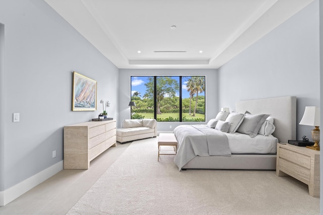 carpeted bedroom with a raised ceiling