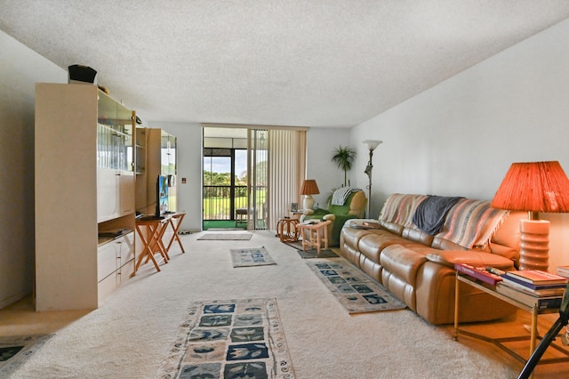 carpeted living room with a textured ceiling