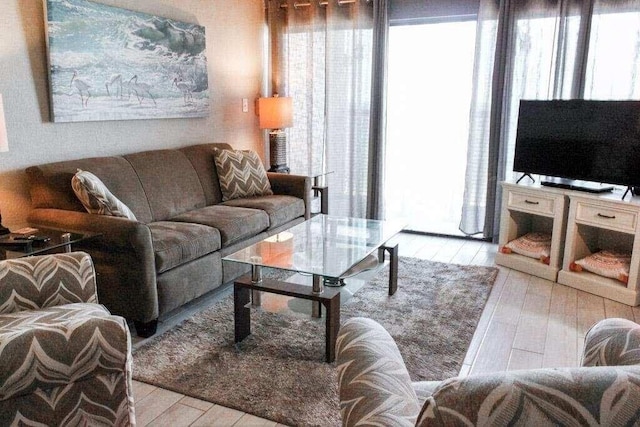 living room with light hardwood / wood-style flooring