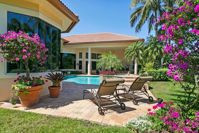 view of swimming pool with a patio area