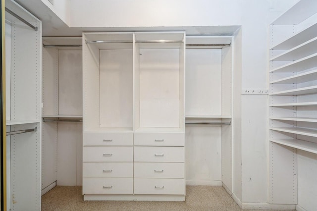 walk in closet with light colored carpet