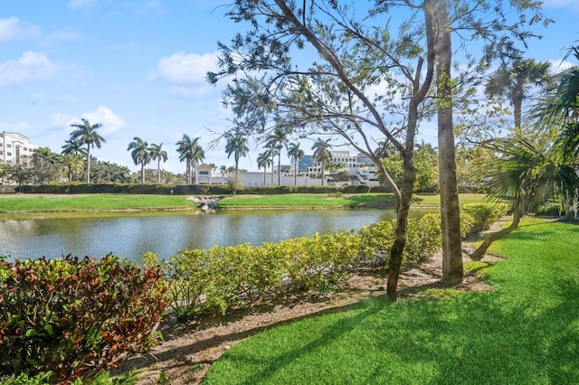 view of water feature