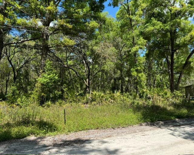 TBD NE 472nd Ave, Old Town FL, 32680 land for sale