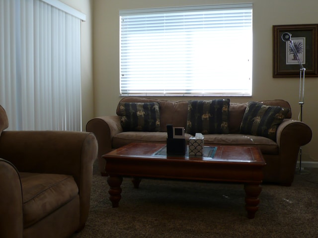 living room with carpet floors and a wealth of natural light