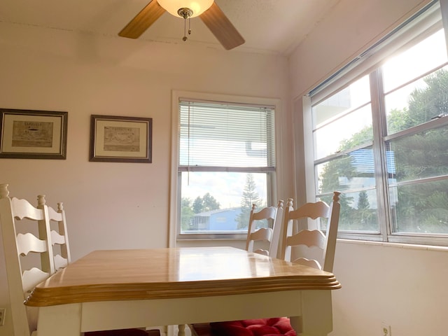 dining area featuring ceiling fan