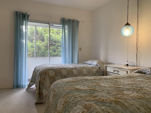 bedroom featuring carpet flooring