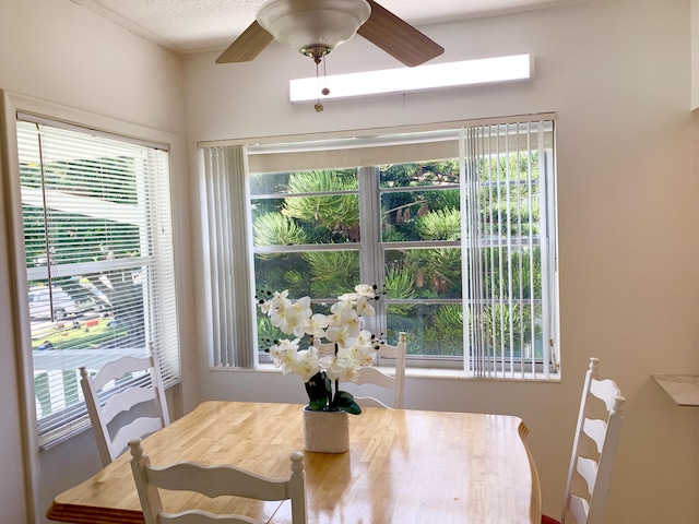 dining space with ceiling fan