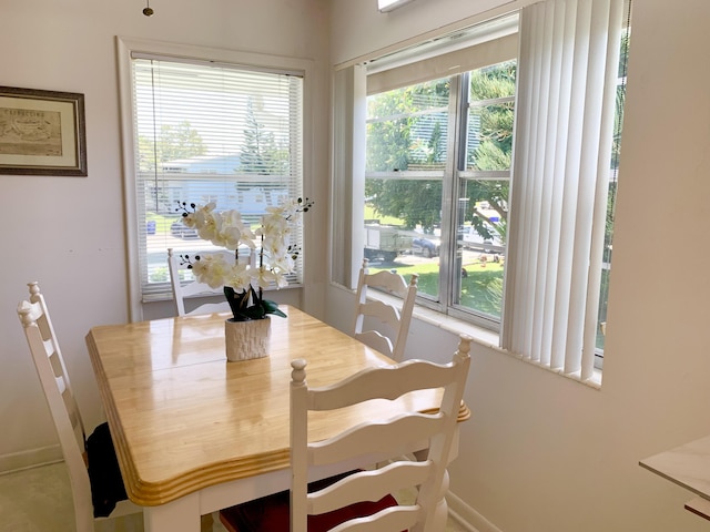 dining space with a wealth of natural light