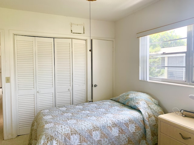 bedroom with a closet