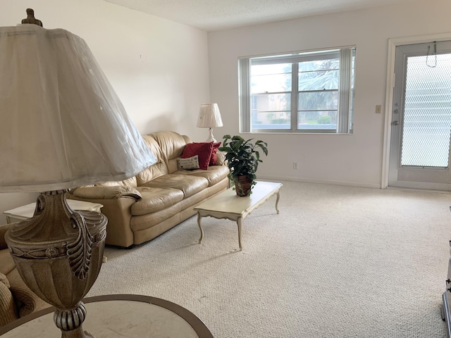 living room featuring carpet flooring