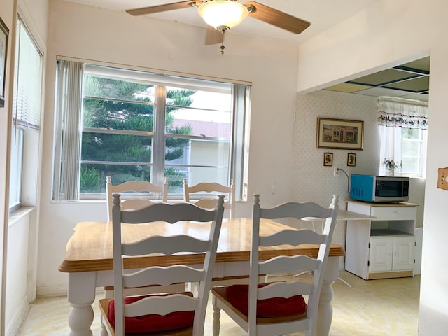 dining space with ceiling fan and a healthy amount of sunlight