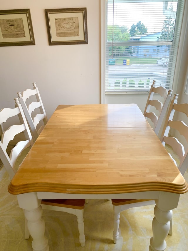 dining space featuring a wealth of natural light